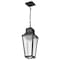 Nuvo Lawrence - 1 Light Hanging Lantern - Matte Black with Clear Seeded Glass 60/8135 - alternate 2